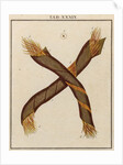 Gold thread by Adam Wolfgang Winterschmidt