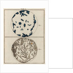 Salt specimens by Adam Wolfgang Winterschmidt