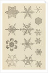 Snow crystals by James Glaisher