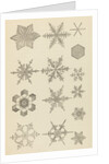 Snow crystals by James Glaisher