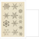 Snow crystals by James Glaisher
