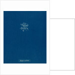 Dasya ocellata by Anna Atkins