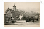 Llama enclosure by George Johann Scarf