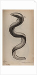 European eel by Unknown