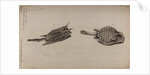 Horned boxfish and scorpionfish by Unknown