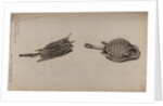 Horned boxfish and scorpionfish by Unknown