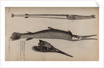Needlefish and garfish by Unknown