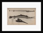 Needlefish and garfish by Unknown