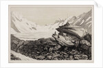 Lauteraar and Finsteraar glacier by Hercule Nicolet