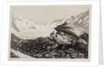 Lauteraar and Finsteraar glacier by Hercule Nicolet
