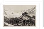 Lauteraar and Finsteraar glacier by Hercule Nicolet