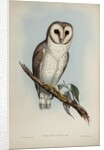 Delicate owl by Henry Constantine Richter; Hullmandel & Walton