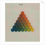 Colour triangle by Tobias Mayer