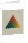 Colour triangle by Tobias Mayer