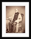 Portrait of John William Lubbock (1803-1865) by Alphonse Le Blondel