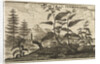 'The Root China' by Wenceslaus Hollar