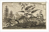 'The Root China' by Wenceslaus Hollar