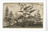 'The Root China' by Wenceslaus Hollar