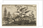 'The Root China' by Wenceslaus Hollar
