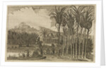 'Sugar canes' by Wenceslaus Hollar
