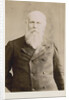 Portrait of William Anderson (1835-1898) by Maull & Fox