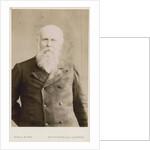 Portrait of William Anderson (1835-1898) by Maull & Fox