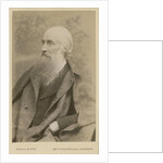 Portrait of John Beddoe (1826-1911) by Maull & Fox