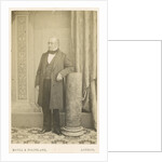 Portrait of James Scott Bowerbank (1797-1877) by Maull & Polyblank