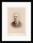 Portrait of Horace Tabberer Brown (1848-1925) by Maull & Fox