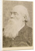 Portrait of John Charles Bucknill (1817-1897) by Maull & Fox