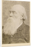 Portrait of John Charles Bucknill (1817-1897) by Maull & Fox