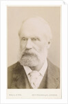 Portrait of Samuel Hawkesley Burbury (1831-1911) by Maull & Fox