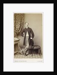 Portrait of Alexander Ross Clarke (1828-1914) by Maull & Polyblank