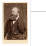 Portrait of Andrew Ainslie Common (1841-1903) by Maull & Fox