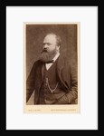 Portrait of Andrew Ainslie Common (1841-1903) by Maull & Fox