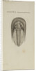 Harpes macrocephalus, species of trilobite by Henry James