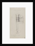 Amphion, genus of trilobite by Henry James