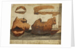 Royal chambers of a termite colony by Henry Smeathman