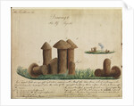 Turret nests of termites by Henry Smeathman
