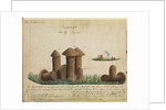 Turret nests of termites by Henry Smeathman