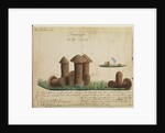 Turret nests of termites by Henry Smeathman