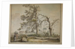 Damaged trees on an avenue to Barnes Common by Edward Edwards