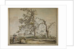 Damaged trees on an avenue to Barnes Common by Edward Edwards