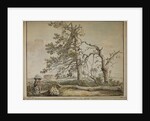 Damaged trees on an avenue to Barnes Common by Edward Edwards