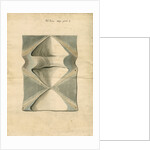 Vertebrae of Squalus maximus [Basking shark] by William Clift