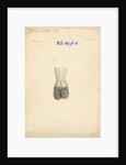 'Larus canus [Common gull gizzard]' by William Clift
