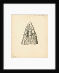 Cerebellum of the Squalus acanthias [Spiny dogfish] by John Howship