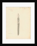 Lumbricus terrestris [Earthworm] dissected by William Clift
