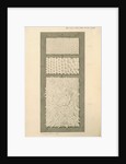 Interior surfaces of the human stomach and duodenum by Franz Andreas Bauer