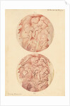 Superficial sore on a human leg by Franz Andreas Bauer
